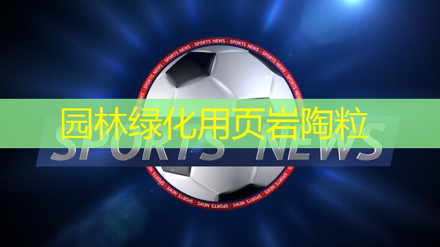 园林绿化用页岩陶粒