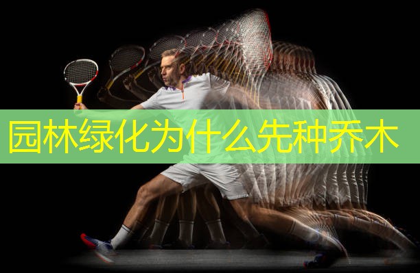 园林绿化为什么先种乔木