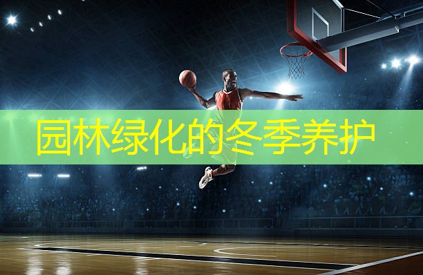 园林绿化的冬季养护