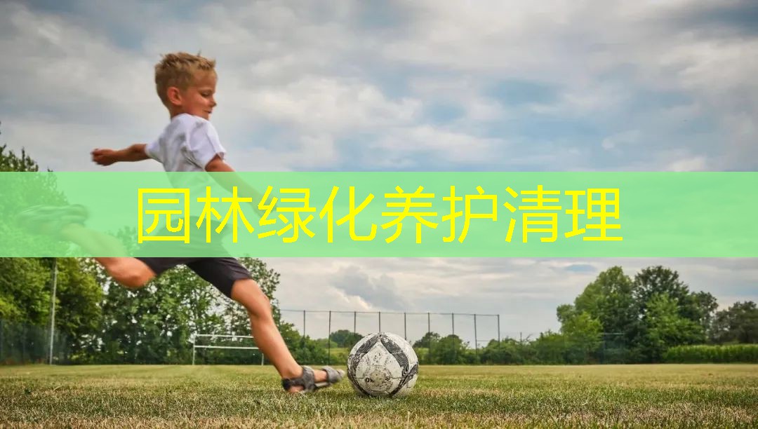园林绿化养护清理