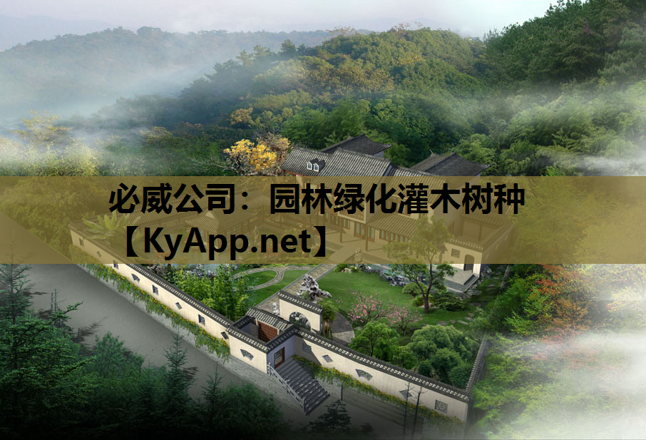 园林绿化灌木树种