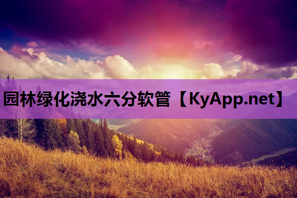 园林绿化浇水六分软管