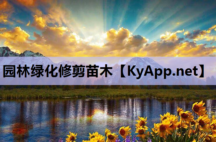 园林绿化修剪苗木