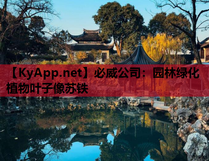 园林绿化植物叶子像苏铁