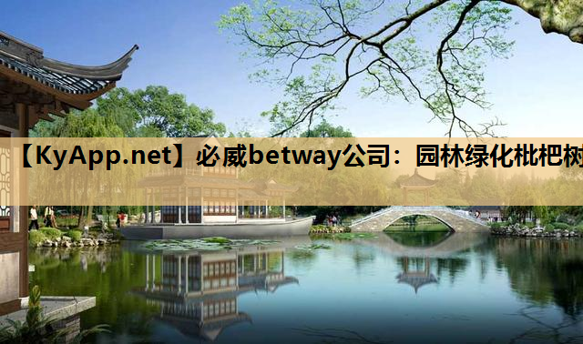 园林绿化枇杷树