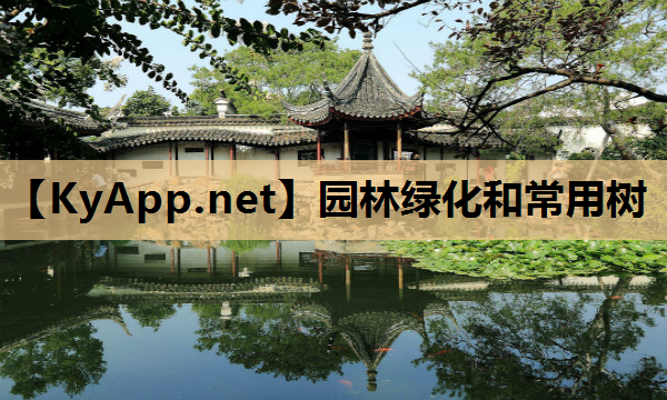园林绿化和常用树