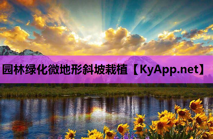 园林绿化微地形斜坡栽植