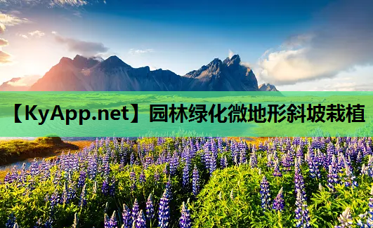 园林绿化微地形斜坡栽植