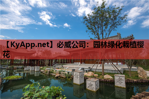 园林绿化栽植樱花