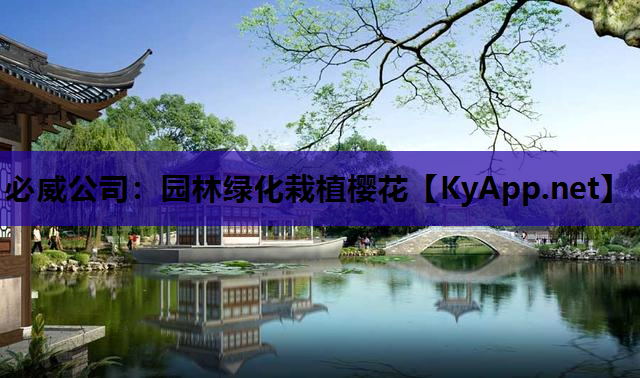园林绿化栽植樱花