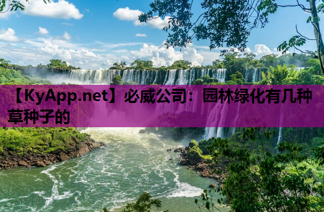 园林绿化有几种草种子的
