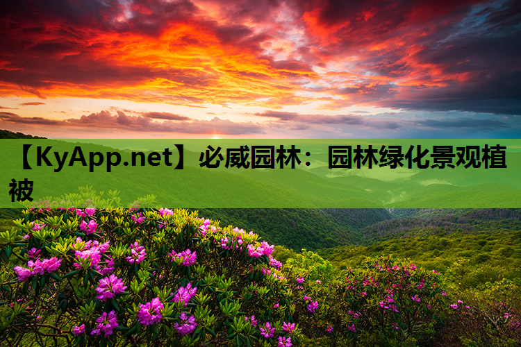 园林绿化景观植被
