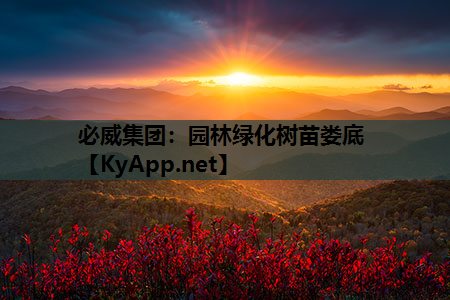 园林绿化树苗娄底
