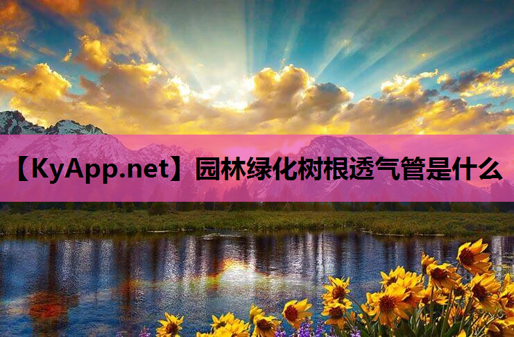 园林绿化树根透气管是什么