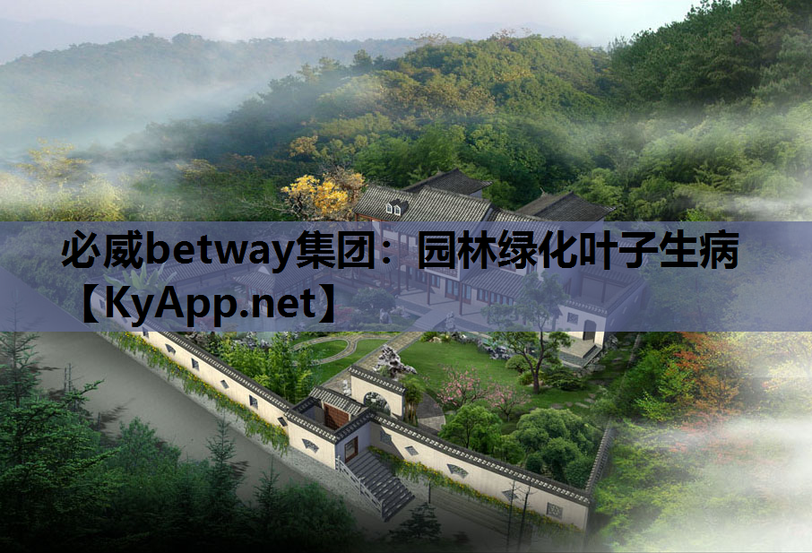 园林绿化叶子生病