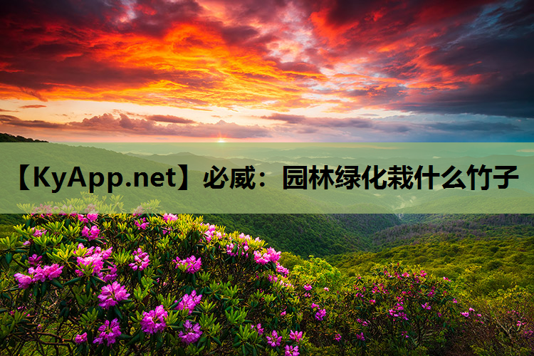 园林绿化栽什么竹子