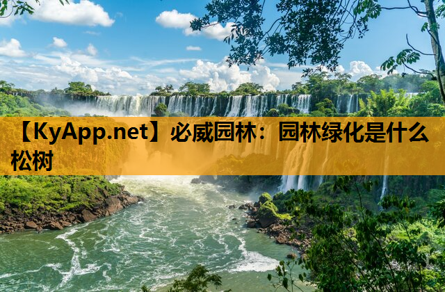 园林绿化是什么松树