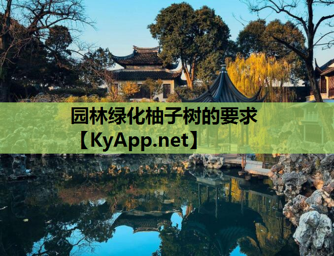 园林绿化柚子树的要求