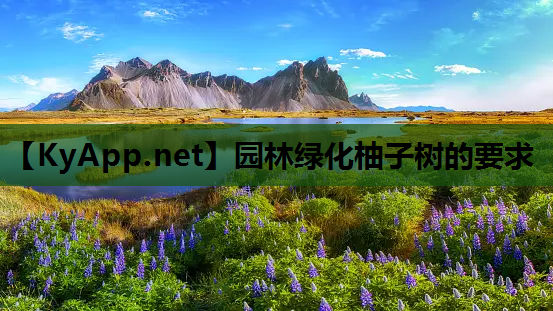 园林绿化柚子树的要求
