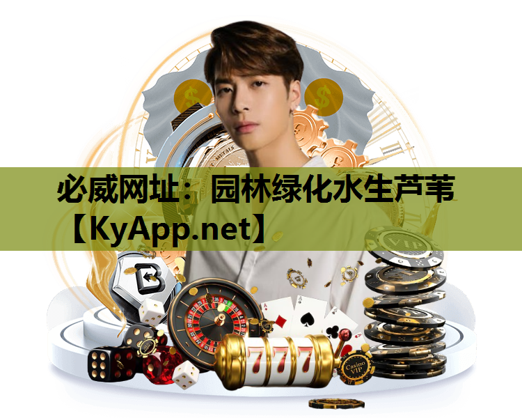 园林绿化水生芦苇
