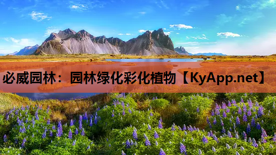 园林绿化彩化植物