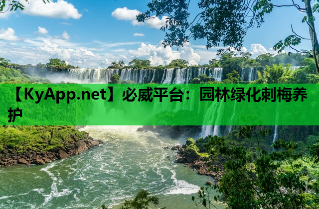 园林绿化刺梅养护