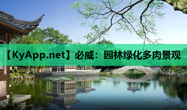 园林绿化多肉景观