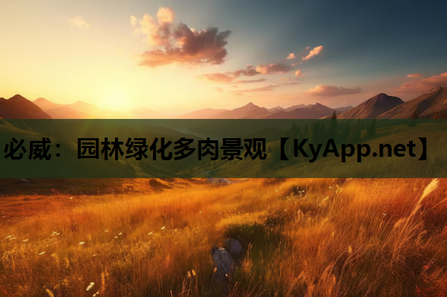 园林绿化多肉景观