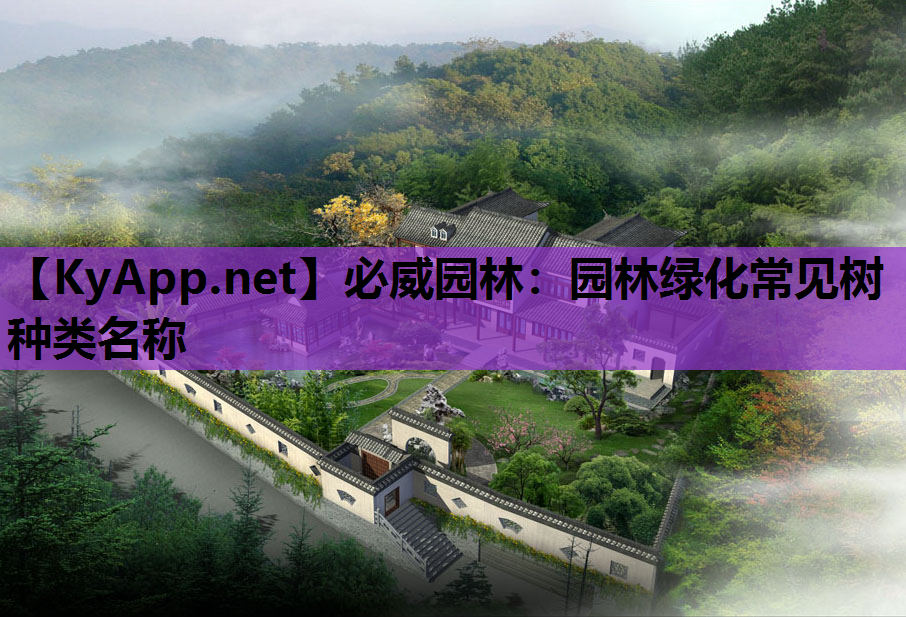 园林绿化常见树种类名称