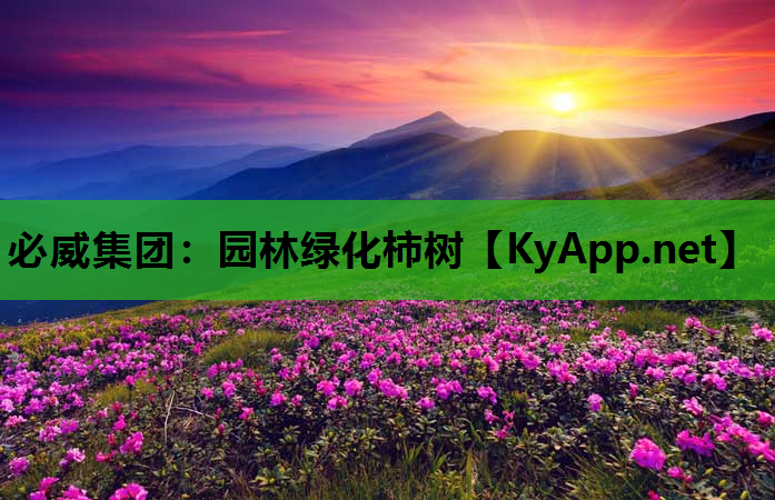 园林绿化柿树