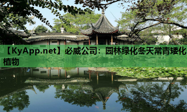 园林绿化冬天常青矮化植物