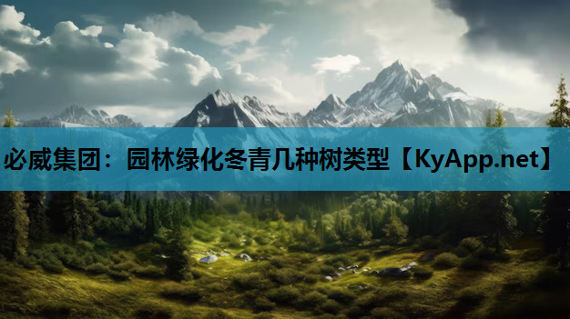 园林绿化冬青几种树类型