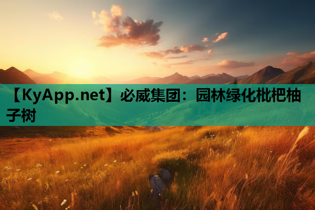 园林绿化枇杷柚子树
