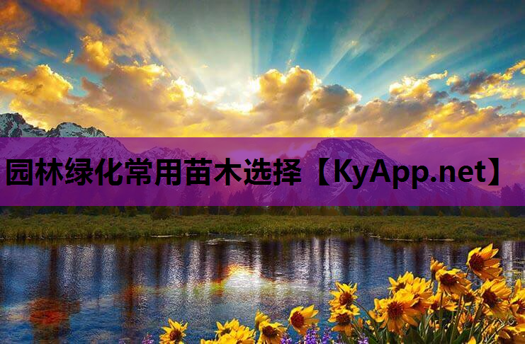园林绿化常用苗木选择