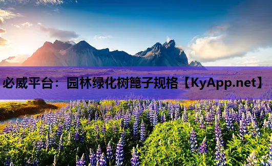 园林绿化树篦子规格