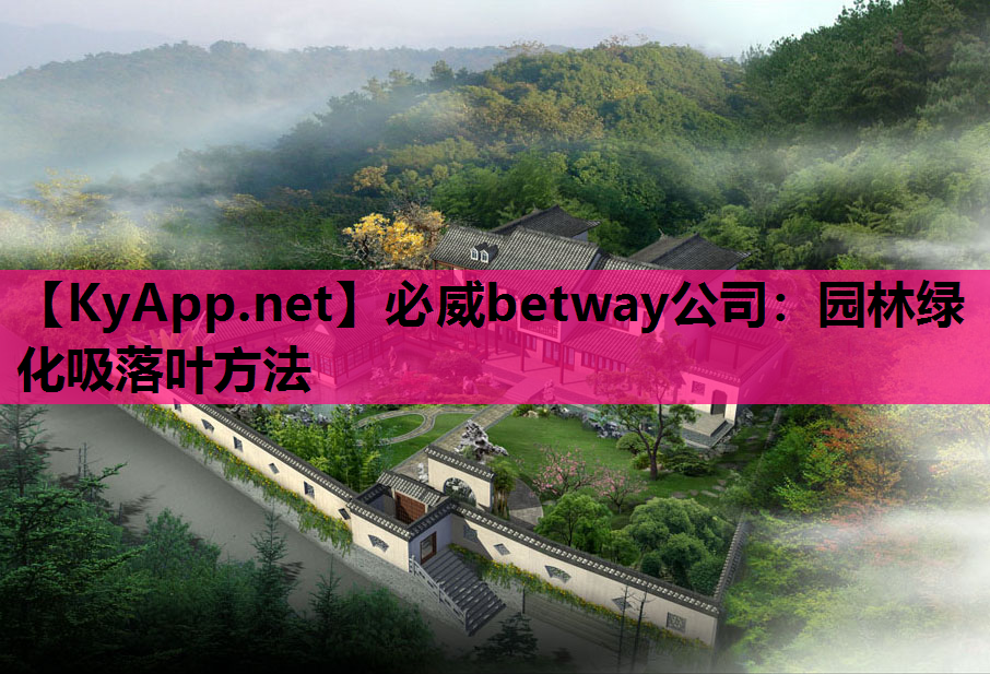 园林绿化吸落叶方法