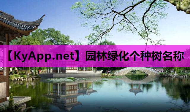 园林绿化个种树名称