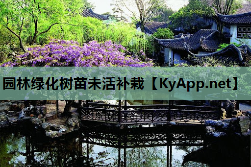 园林绿化树苗未活补栽