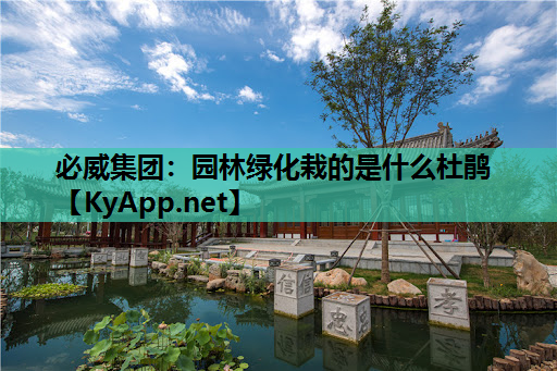 园林绿化栽的是什么杜鹃