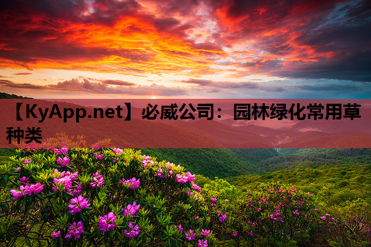 园林绿化常用草种类