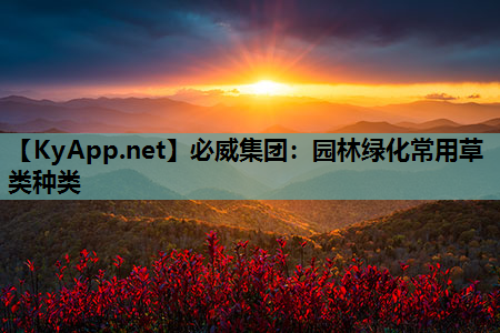 园林绿化常用草类种类