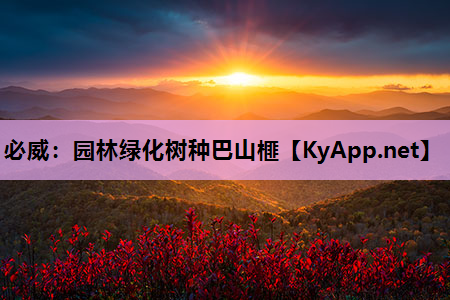 园林绿化树种巴山榧