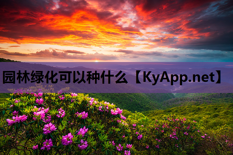 园林绿化可以种什么