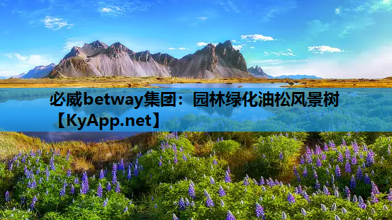 园林绿化油松风景树