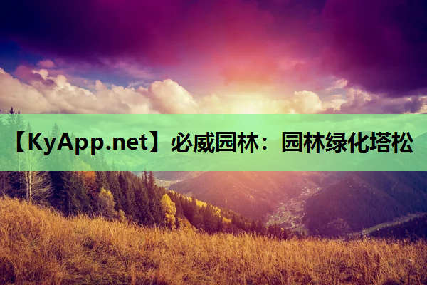 园林绿化塔松