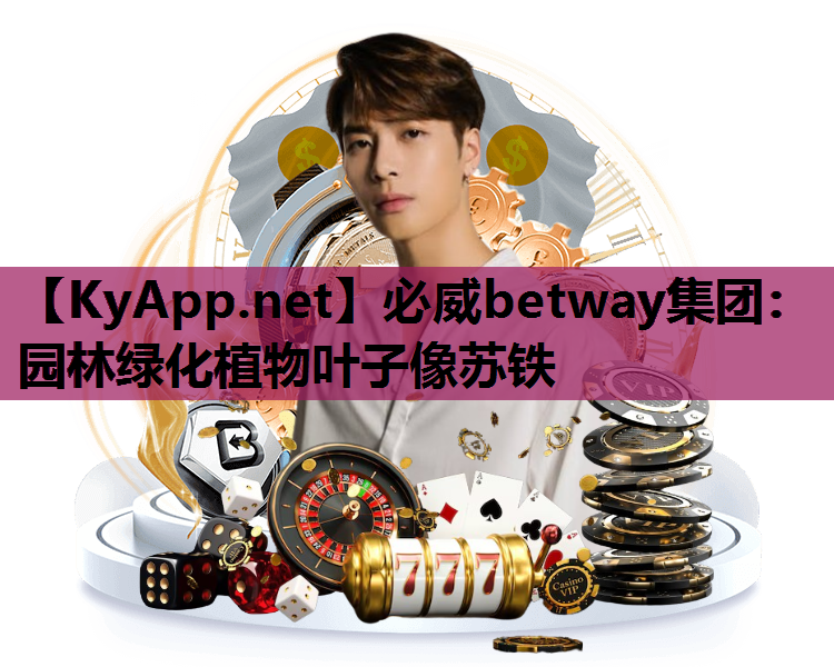 园林绿化植物叶子像苏铁