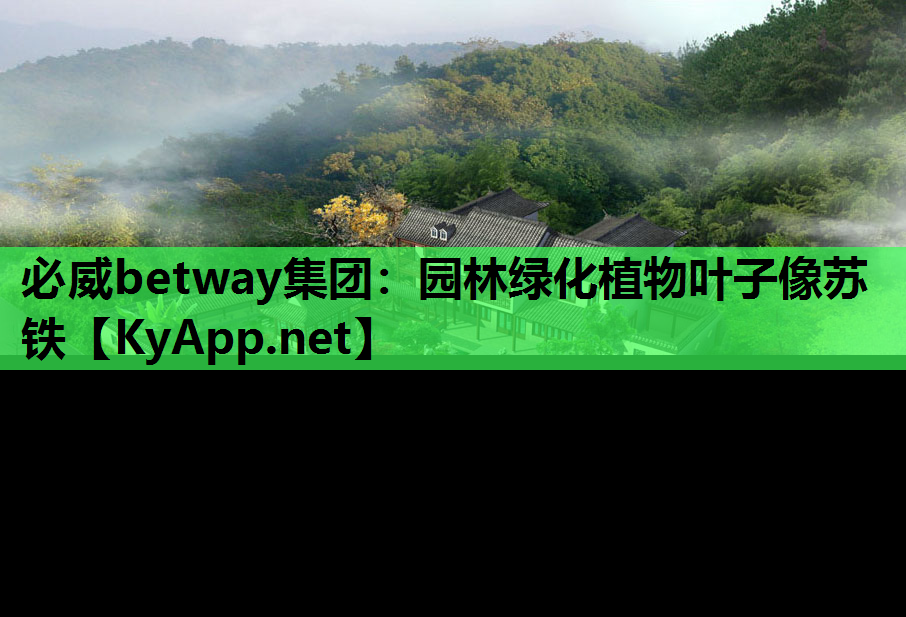 园林绿化植物叶子像苏铁