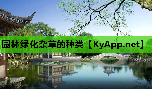 园林绿化杂草的种类