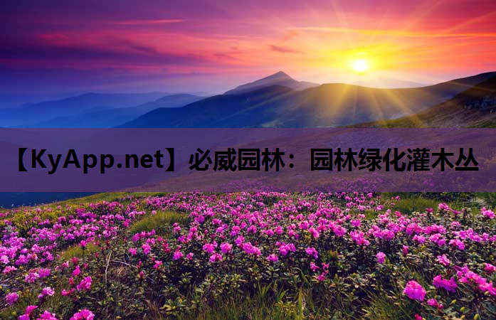 园林绿化灌木丛